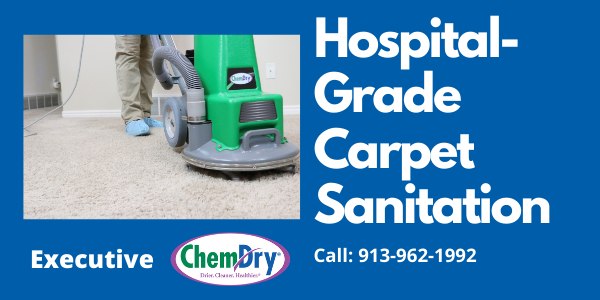 Best Carpet S In Kansas City Carpet Vidalondon
