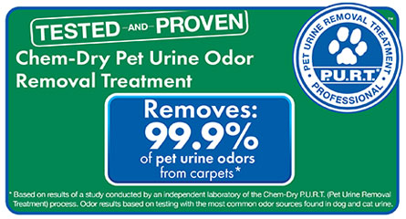 Pet Urine Removal Treatment Helps Create A Healthier Home & Remove Pet Odor
